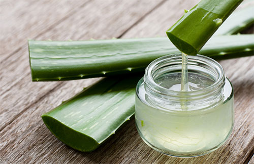 Aloe Vera